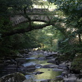 IMG 4656 800