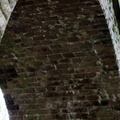 IMG 6089 1024