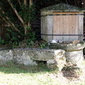 IMG 4978 1024