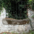 IMG 6158 1024