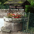 IMG 6186 1024