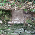 IMG 4875 1080