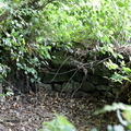 IMG 4892 1080