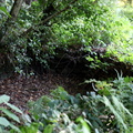 IMG 4895 1080