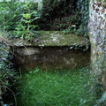 IMG 4956 1080