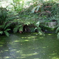 IMG 5817 1024