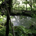 IMG 5828 1024