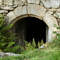 IMG 6000 1024