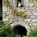 IMG 6009 1024