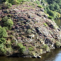 IMG 5745 1024