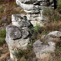 IMG 6490 1080 001