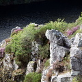 IMG 6491 1080 001