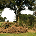 IMG 3444 1280
