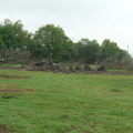 P1020180