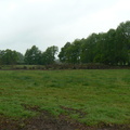 P1020181