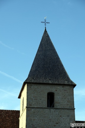 IMG 3173 1080