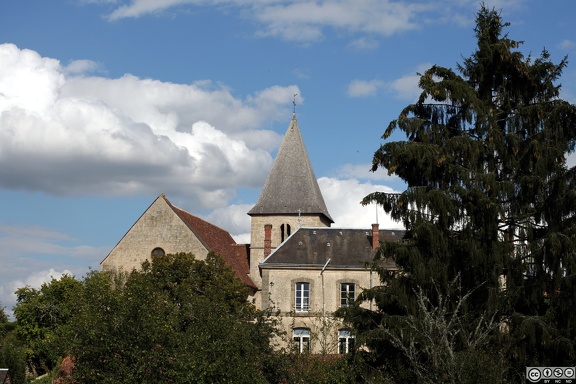 IMG 4245 1080