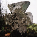 Changotin