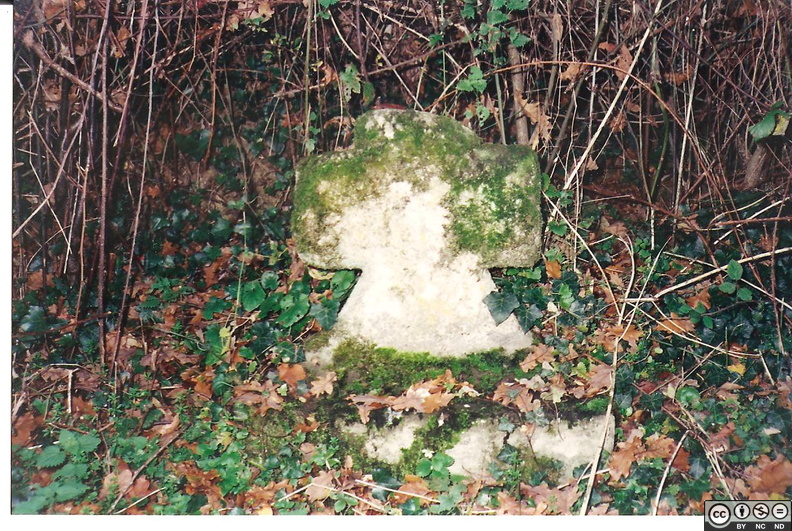 Croix au Bougazeau_001.jpg