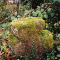 IMG2