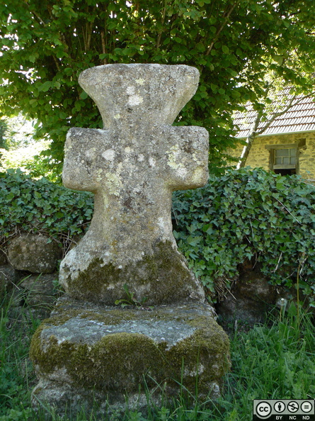 P1020234.JPG