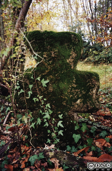 l_Age quatre maux.jpg