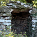 IMG 4569 1080