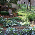 IMG 3186 1024
