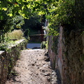 IMG 3244 1080