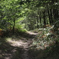 IMG 3519 800