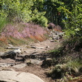 IMG 4506 800