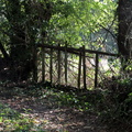IMG 4900 1080