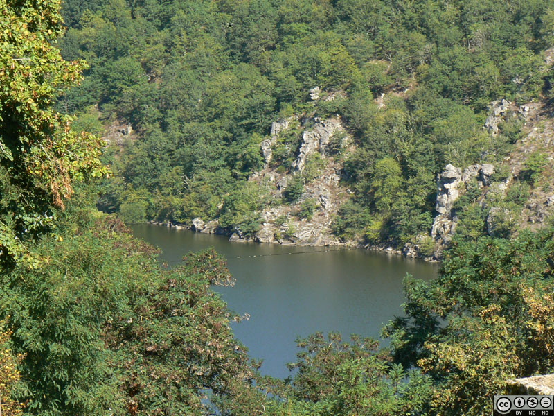 P1000638