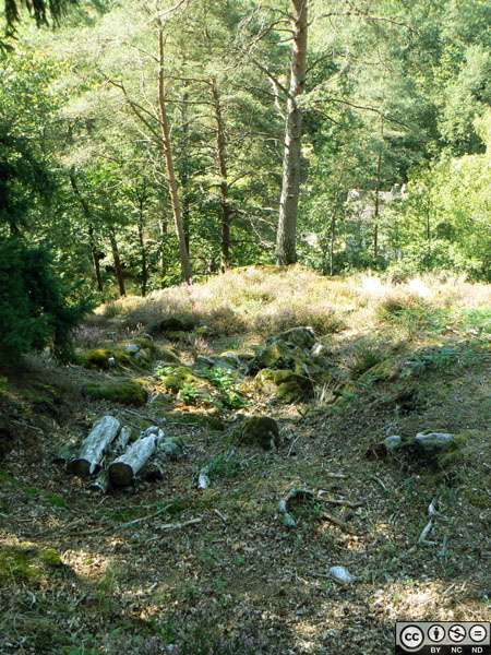P1000668