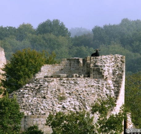 IMG 4279 1700