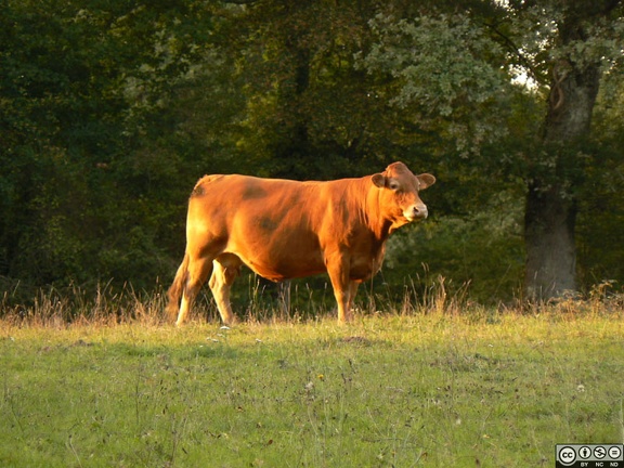 P1000783