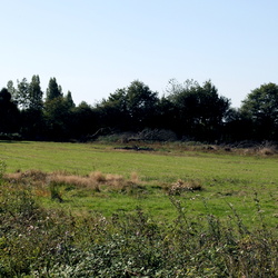 Les haies