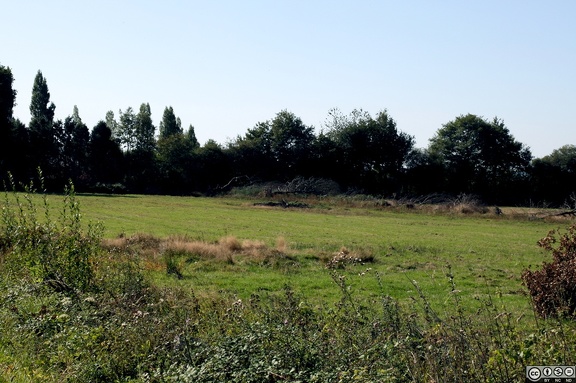 IMG 3428 1280