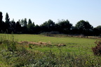 Les haies