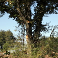 IMG 3433 1280