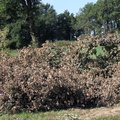 IMG 3434 1280