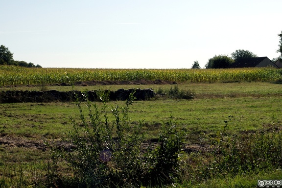 IMG 3440 1280