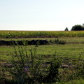 IMG 3440 1280