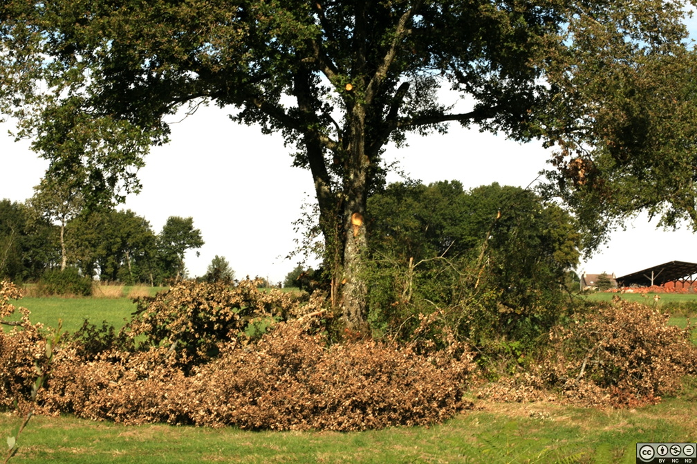 IMG 3444 1280