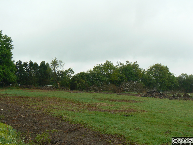 P1020183.JPG