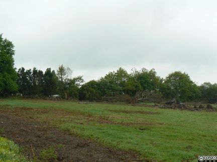 P1020183